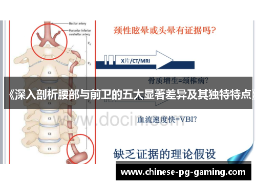 《深入剖析腰部与前卫的五大显著差异及其独特特点》