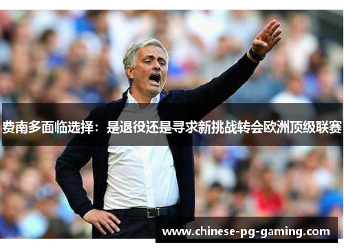 费南多面临选择:是退役还是寻求新挑战转会欧洲顶级联赛 费南多面临选择:是退役还是寻求新挑战转会欧洲顶级联赛