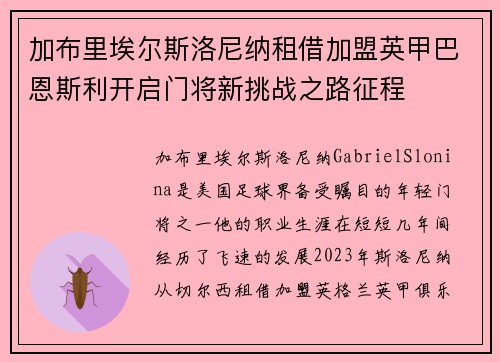 加布里埃尔斯洛尼纳租借加盟英甲巴恩斯利开启门将新挑战之路征程